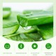 ژل آبرسان آلوورا بیوآکوا  BIOAQUA NATURAL ALOE VERA MOISTURIZING GEL FACIAL MASK