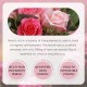 اسانس آروما تراپی و روغن ماساژ گل رز سادور SADOER ESSENTIAL OIL SERIES ROSE