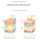 پک مراقبت از پوست و کوچک کننده منافذ سرامید کانسای  CAHNSAI CERAMIDE YEAST MOISTURIZING HYDRA SUIT