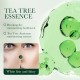 کرم ضد جوش و آکنه و کنترل چربی پوست عصاره چای سبز سادور SADOER TEA TREE ACNES OIL CONTROL FACE CREAM