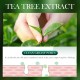 تونر ضد جوش و آکنه و کنترل چربی پوست عصاره چای سبز سادور SADOER TEA TREE ACNES OIL CONTROL FACE TONER